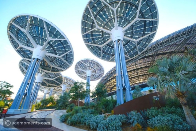 How to Get the Green Zone Passes for COP28?