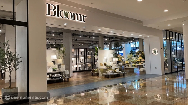 Where to Buy Christmas Decorations in Dubai