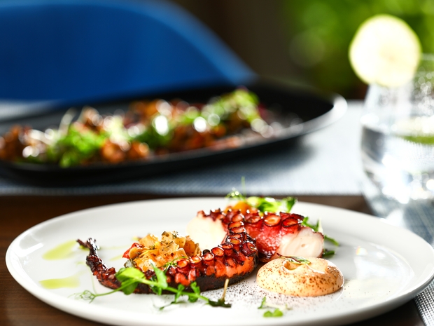 Timo launches an authentic new menu with elevated Italian dishes