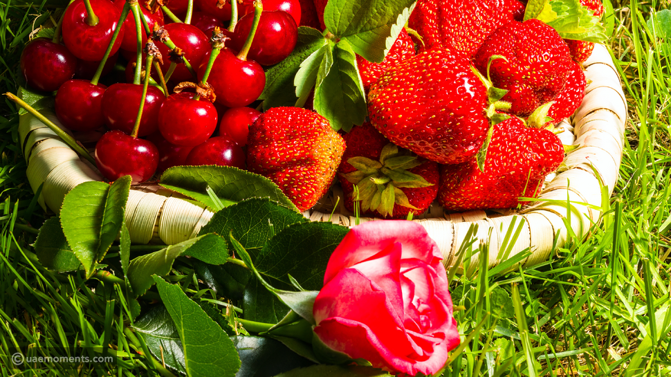 Strawberry Randomly Weird Facts You Need to Know About Strawberries